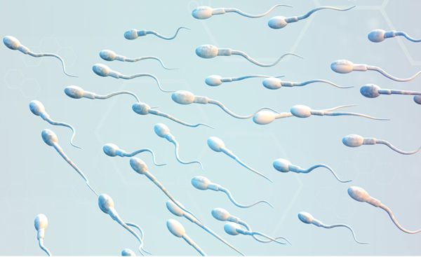 Sperm sample