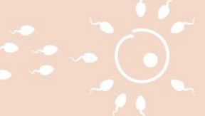 Studieinformation ProFET. Du som planerar att genomföra en återföring med frystinat embryo (FET) i naturlig cykel hos oss på Livio Falun, kan nu komma att bli tillfrågad om att medverka i en studie (ProFET). 