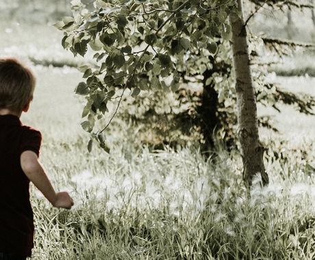 banner image