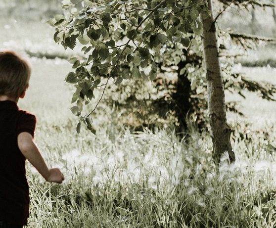 banner image