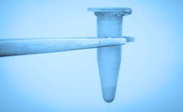 Embryo freezing