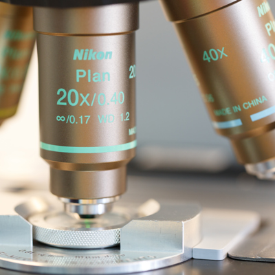 IVF for heterosexual couples image