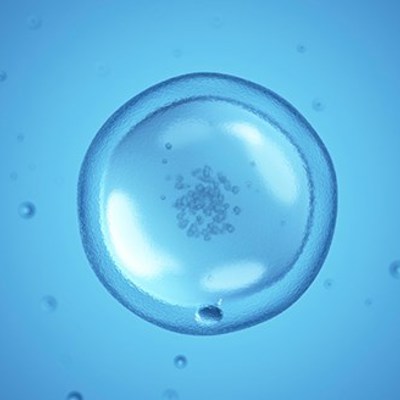 Egg Freezing image