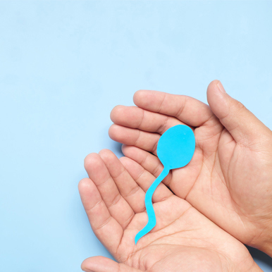 Contact Us Sperm Donation